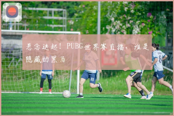 悬念迭起！PUBG世界赛直播，谁是隐藏的黑马