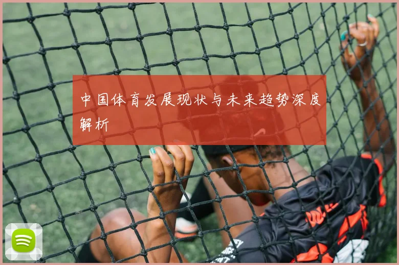 中国体育发展现状与未来趋势深度解析